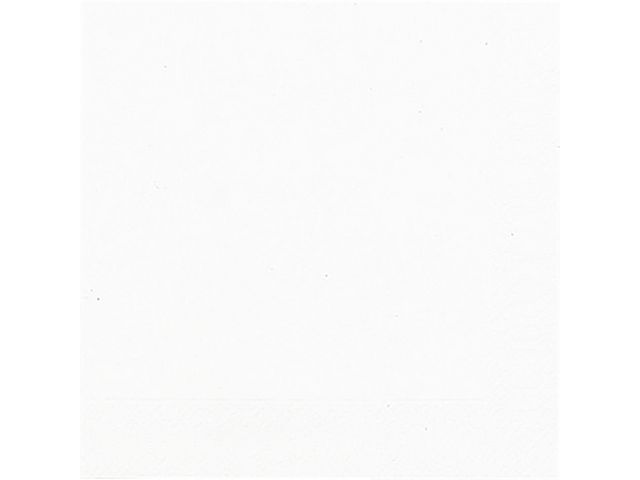 Servett DUNI 1-lags 33x33cm vit 500/fp