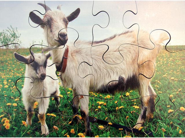 Pussel bondgårdsdjur 8 olika pussel