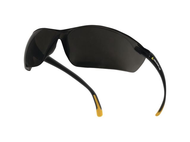 Skyddsglasögon DELTA PLUS Meia grå